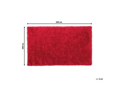 Beliani Raštuotas kilimas shaggy CIDE raudonas 200 x 300 cm