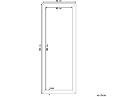 Beliani Sieninis veidrodis AJACCIO 50x130 cm žalvario spalvos