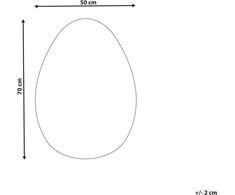 Beliani Sieninis veidrodis MONTRESOR 50 cm 70 cm Sidabrinis