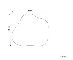 Beliani Sieninis veidrodis BAGNEUX 50 cm 55 cm, sidabrinis