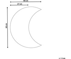 Beliani Sieninis veidrodis PESMES 40 cm 60 cm Sidabrinis