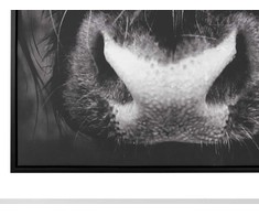 Beliani Paveikslėlis ant drobės rėmelyje 63 x 93 cm juoda GalEATA