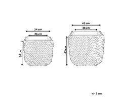 Beliani Dviejų BERBERIS vazonų rinkinys 34/45 cm, juodas technoratanas