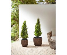 Beliani Rinkinys 3 vazonai BERBERIS Technorattan 34/45 cm Tamsiai ruda
