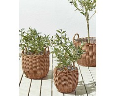Beliani 3 gėlių krepšių rinkinys AUCUBA 26/34/44 cm šviesiai rudas