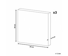 Beliani Trijų drobės paveikslų rinkinys TIMIA Gyvūnų motyvas 30 x 30 cm Pilkas