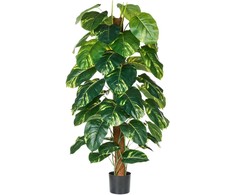 Beliani Sztuczna roślina DIEFFENBACHIA 152 cm Žalias