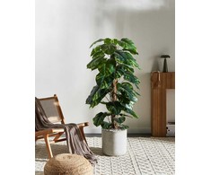 Beliani Sztuczna roślina DIEFFENBACHIA 152 cm Žalias