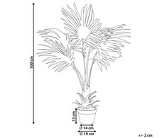 „Shumee“ dirbtinis vazoninis augalas, 100 cm, vėduoklinė palmė