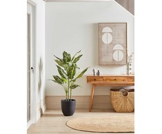 Beliani Dirbtinis augalas DIEFFENBACHIA 110 cm žalias