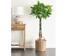 Beliani Sztuczna roślina PACHIRA TREE 120 cm Žalias