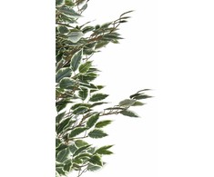 Beliani dirbtinis vazoninis augalas, 167 cm, fikusas, medis