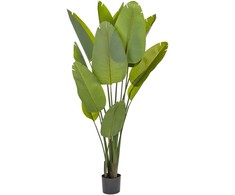 Beliani Sztuczna roślina doniczkowa 187 cm BANANA TREE