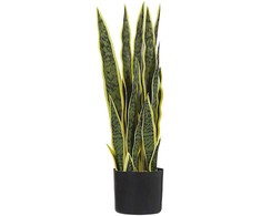 Beliani Dirbtinis augalas SNAKE PLANT 63 cm Žalias