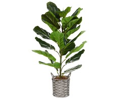 Beliani Sztuczna roślina FIDDLE LEAF TREE 72 cm Žalias