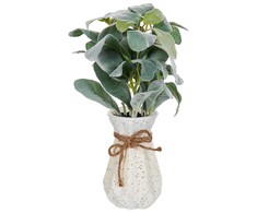 Beliani Sztuczna roślina PEPEROMIA ARGYREIA 30 cm Žalias