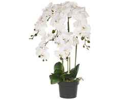 Beliani Dirbtinis augalas ORCHID 65 cm baltas