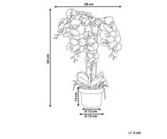 Beliani Dirbtinis augalas ORCHID 65 cm baltas