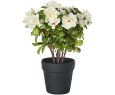 Beliani Dirbtinis augalas NOVELLA 36 cm Baltas