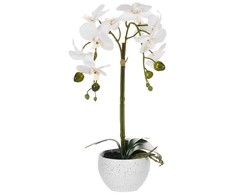 Beliani Sztuczna roślina ORCHID 42 cm Baltas