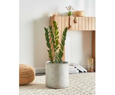 Beliani Sztuczna roślina ZAMIIFOLIA 76 cm Žalias