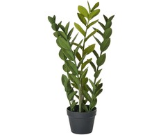 Beliani Sztuczna roślina ZAMIIFOLIA 76 cm Žalias