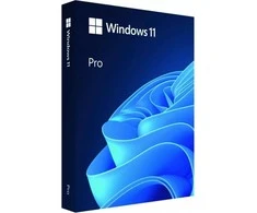Operacinė sistema Microsoft Windows 11 Pro 64-bit English USB