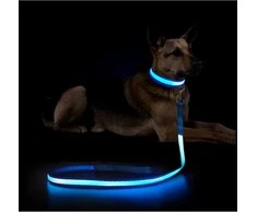 Šviečiantis LED keturkojų pavadėlis