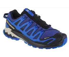 Bastad Danmark Aps Buty bėgiojimui Salomon XA Pro 3D v9 GTX M 472703 (rozmiar_EU-45 1/3)