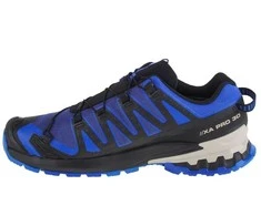Bastad Danmark Aps Buty bėgiojimui Salomon XA Pro 3D v9 GTX M 472703 (rozmiar_EU-42)