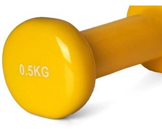 PROfit vinilinis hantelis 0,5kg DK 4102