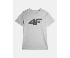 Marškinėliai 4F M 4FAW23TTSHM0877-27M