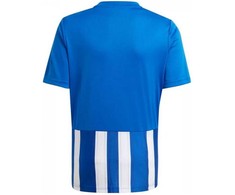 Marškinėliai adidas Striped 21 Jr GH7323 (Rozmiar-164)