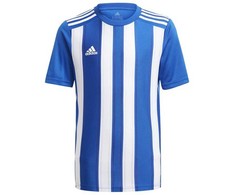 Marškinėliai adidas Striped 21 Jr GH7323 (Rozmiar-164)