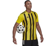 Adidas Dry-Fit 21 JSY M GV1378 marškinėliai