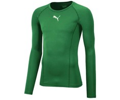 Vyriški marškinėliai Puma Liga Baselayer Tee LS žalia 655920 05 (XL)