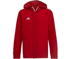 Striukė vaikams adidas Entrada 22 All-Weather raudona IK4013 176cm