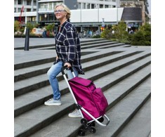 Aktivo Kruizeris Expert Premium 604361 Pirkinių vežimėlis