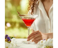 4 Elysia martini stiklinių rinkinys 220 ml PASABAHCE