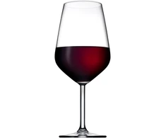 6 Allegra vyno taurių rinkinys 490 ml PASABAHCE