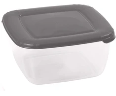 Albert maisto konteineris pilkas 2,5 l DOMOTTI