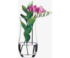 Botanica vaza 21 cm PASABAHCE