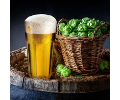 Casablanca Beer Glass 475ml PASABAHCE
