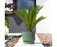Prosperplast Plastikinis vazonas MILLY, su įdėklu, žalios sp., 39,5 x 37,5 cm