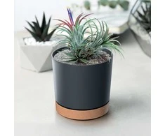 Prosperplast donicžė cilindrinė antracit 18 cm