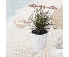 Sodo vazonas ⌀40 cm Matuba baltas PROSPERPLAST