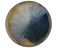 Lėkštė Am-Madera Ambition 26.5cm