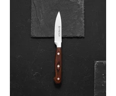 Virtuvinio peilio skustuvas Titanium 9 cm AMBITION