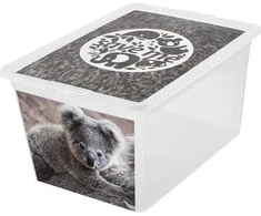 Branq Laikymo dėžė X box deco koala 30L Skaidri