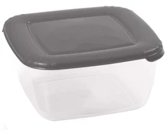 Albert maisto konteineris pilkas 2,5 l DOMOTTI